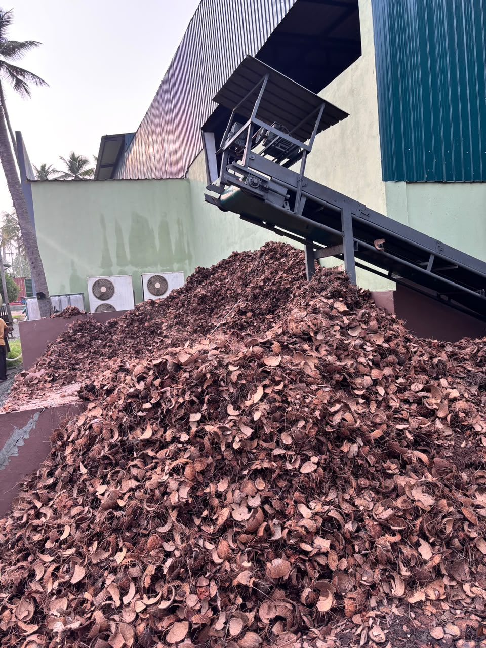 Coconut husk and shell yard beside the factory